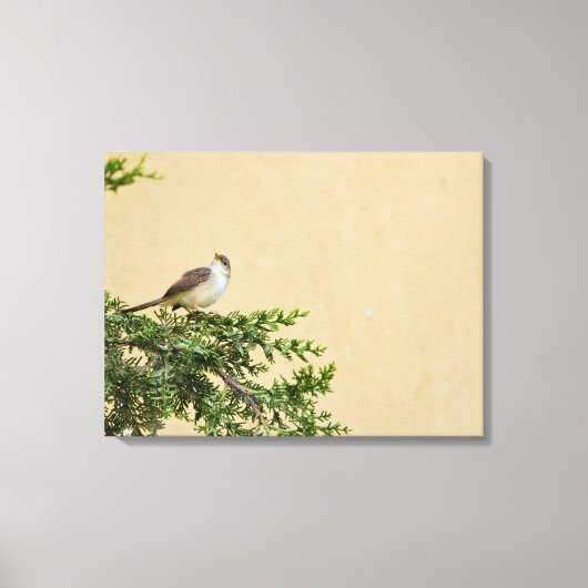 Sparrow Canvas Afdruk (Voorkant)