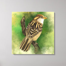 Sparrow Canvas Kleine vogel