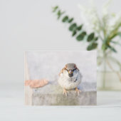 Sparrow - De Warrior Briefkaart (Staand voorkant)