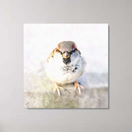 Sparrow - De Warrior Canvas Afdruk