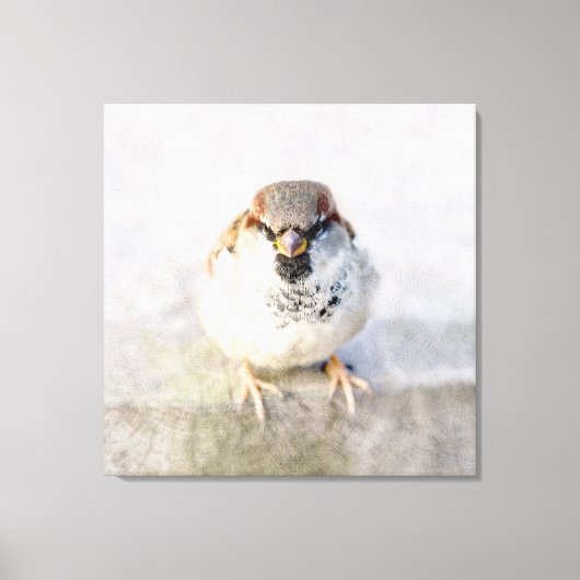Sparrow - De Warrior Canvas Afdruk (Voorkant)