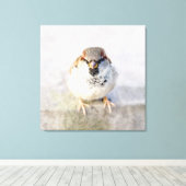 Sparrow - De Warrior Canvas Afdruk (Insitu (Houten vloer))