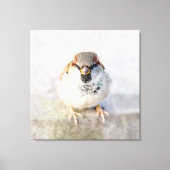 Sparrow - De Warrior Canvas Afdruk (Voorkant)