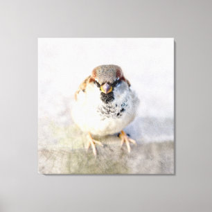 Sparrow - De Warrior Canvas Afdruk