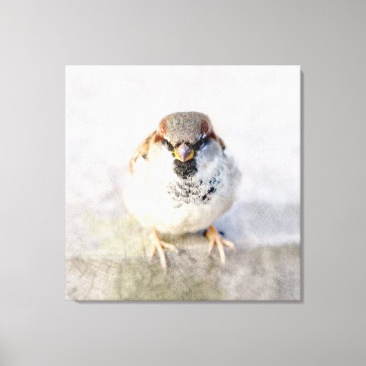 Sparrow - De Warrior Canvas Afdruk (Voorkant)