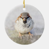 Sparrow - De Warrior Keramisch Ornament (Achterkant)