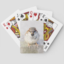 Sparrow - De Warrior