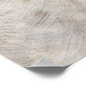 Sparrow - De Warrior Poster (Hoek)