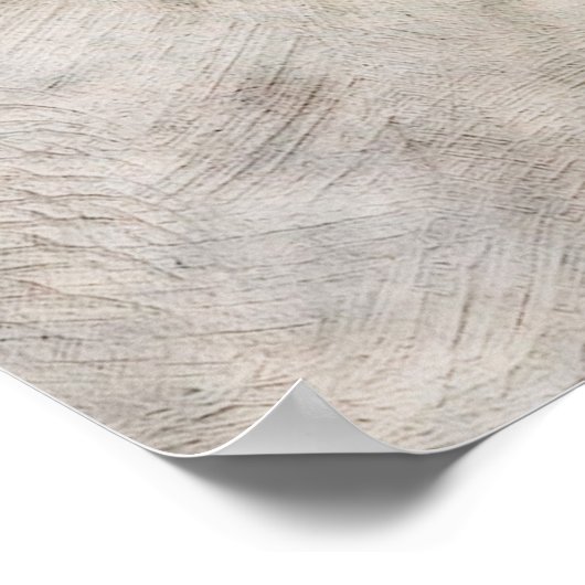 Sparrow - De Warrior Poster (Hoek)