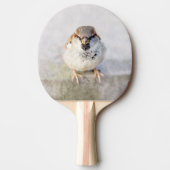 Sparrow - De Warrior Tafeltennisbatje (Voorkant)