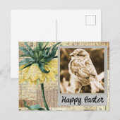 Sparrow Easter Collage Briefkaart (Voorkant / Achterkant)