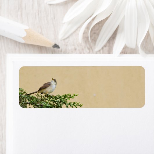 Sparrow Etiket (Insitu)