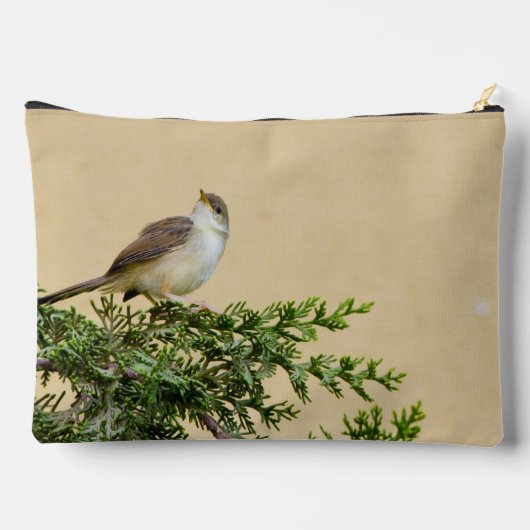 Sparrow Etui (Achterkant)