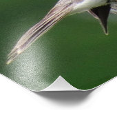 Sparrow Foto Afdruk (Hoek)