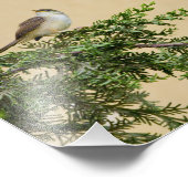 Sparrow Foto Afdruk (Hoek)