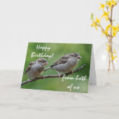 Sparrow-foto Kaart (Gele Bloem)