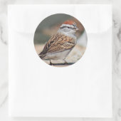 Sparrow-foto Ronde Sticker (Tas)