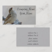 Sparrow-foto Visitekaartje (Voorkant / Achterkant)