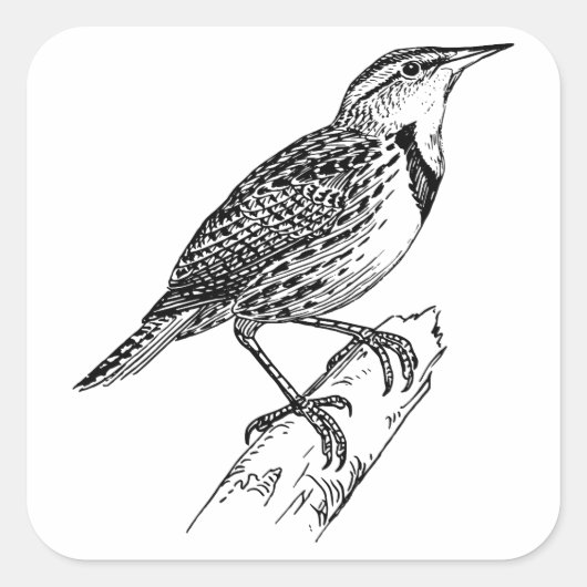 Sparrow-Great Sparrow kleding/Sparrow Sticker (Voorkant)