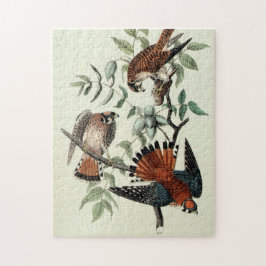 Sparrow hawls legpuzzel