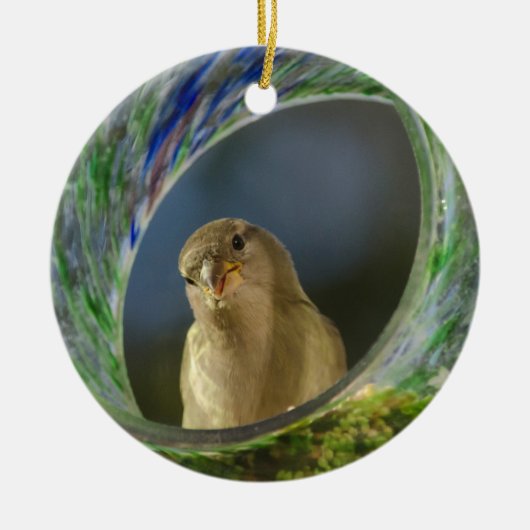 Sparrow in de pot keramisch ornament (Voorkant)