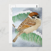 Sparrow in de winter briefkaart (Voorkant / Achterkant)