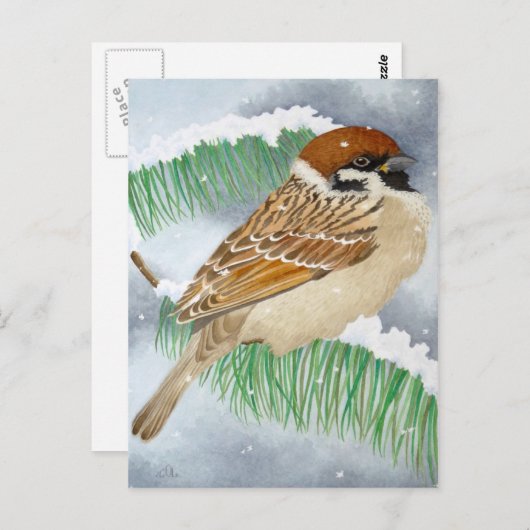 Sparrow in de winter briefkaart (Voorkant / Achterkant)