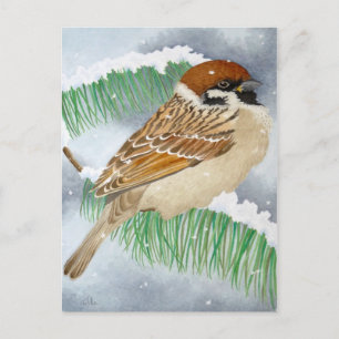 Sparrow in de winter briefkaart