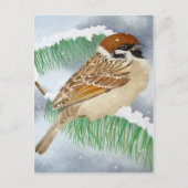 Sparrow in de winter briefkaart (Voorkant)