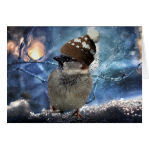 Sparrow in Sneeuw Pet Kerst Kaart