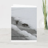 Sparrow in Snowy Evergreen Kaart (Achterkant)