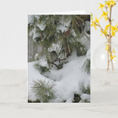 Sparrow in Snowy Evergreen Kaart (Gele Bloem)