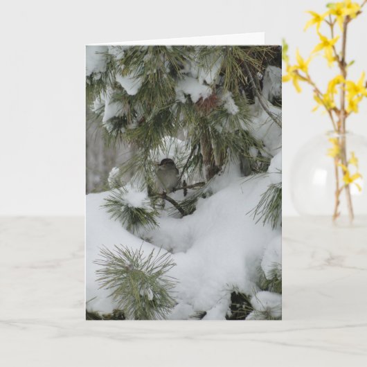 Sparrow in Snowy Evergreen Kaart (Gele Bloem)