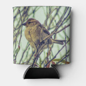 Sparrow in Tree Photo Blikjeskoeler (Voorkant)