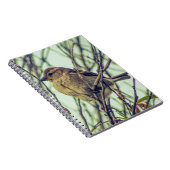 Sparrow in Tree Photo Notitieboek (Rechterzijde)