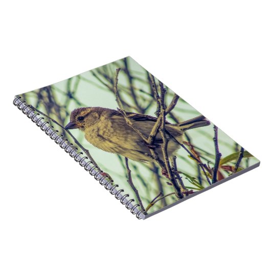Sparrow in Tree Photo Notitieboek (Rechterzijde)