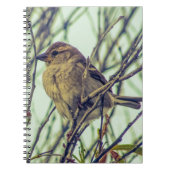 Sparrow in Tree Photo Notitieboek (Voorkant)