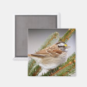 Sparrow in Winter Magneet (Voorkant / Achterkant)