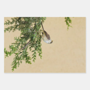 Sparrow Inpakpapier Vel