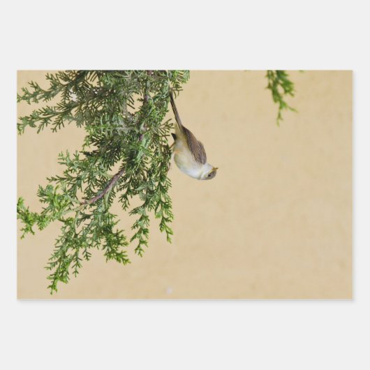 Sparrow Inpakpapier Vel (Voorkant)