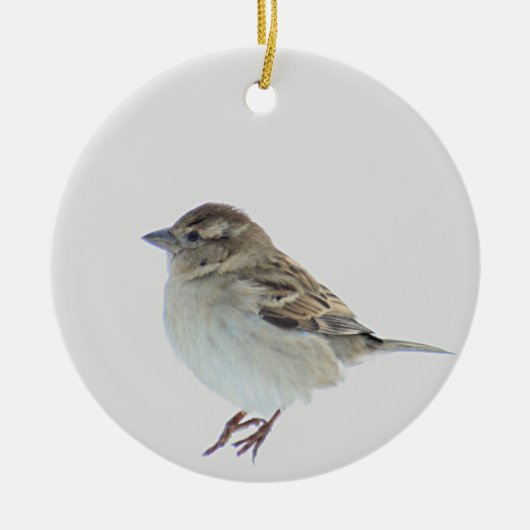Sparrow Keramisch Ornament (Voorkant)
