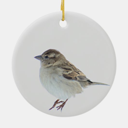 Sparrow Keramisch Ornament (Achterkant)