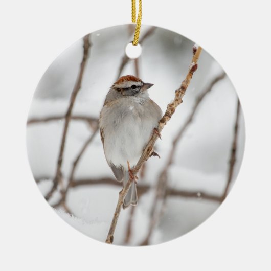 Sparrow | Keramisch Ornament (Voorkant)