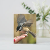 Sparrow landt op de hand van mijn vrouw briefkaart (Staand voorkant)