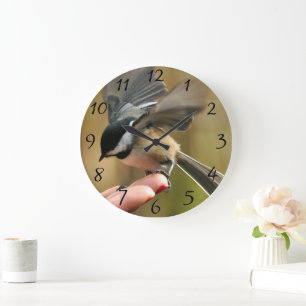 Sparrow landt op de hand van mijn vrouw grote klok