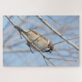 Sparrow Legpuzzel (Horizontaal)