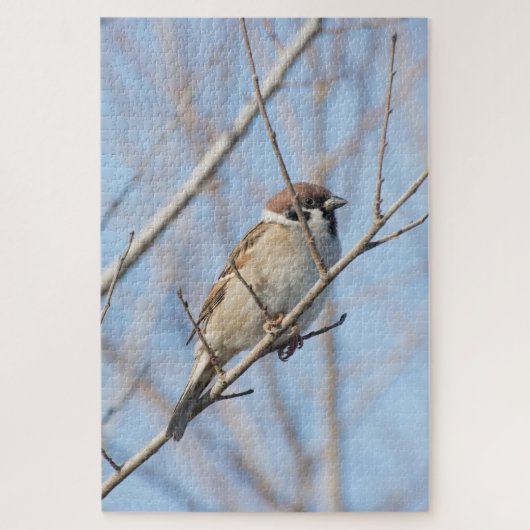 Sparrow Legpuzzel (Verticaal)