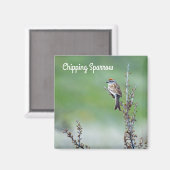 Sparrow Magneet (Voorkant / Achterkant)