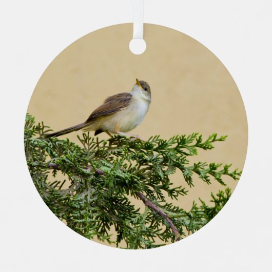 Sparrow Metalen Ornament (Voorkant)