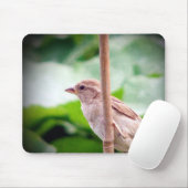 Sparrow Muismat (Met muis)